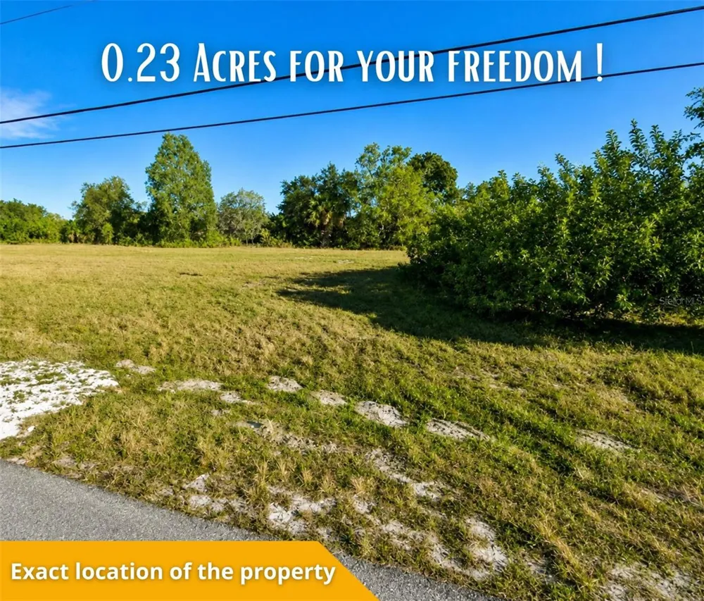 2133 NE 25TH TER Cape Coral, FL 33909