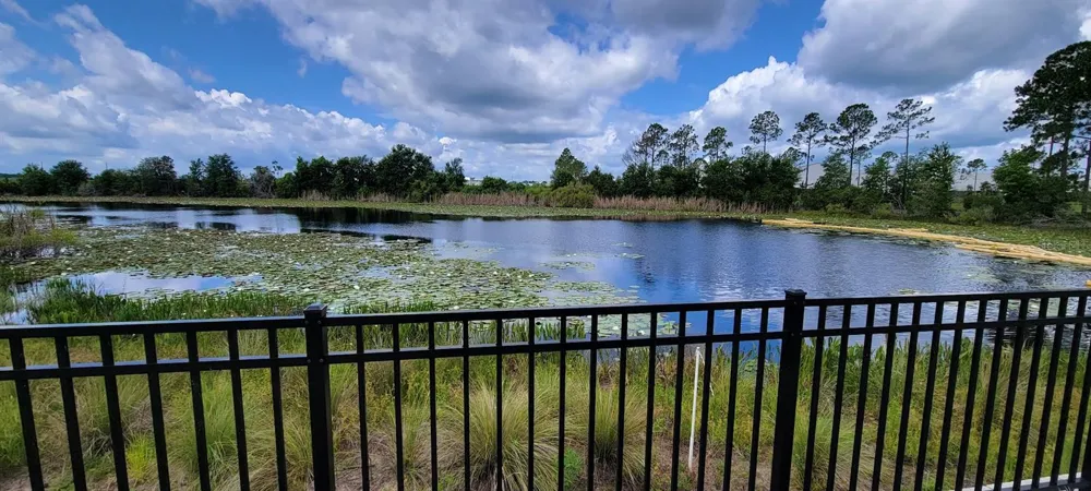 17319 MILLION LAKES COURT Clermont, FL 34714