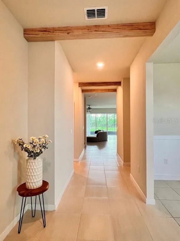 17319 MILLION LAKES COURT Clermont, FL 34714