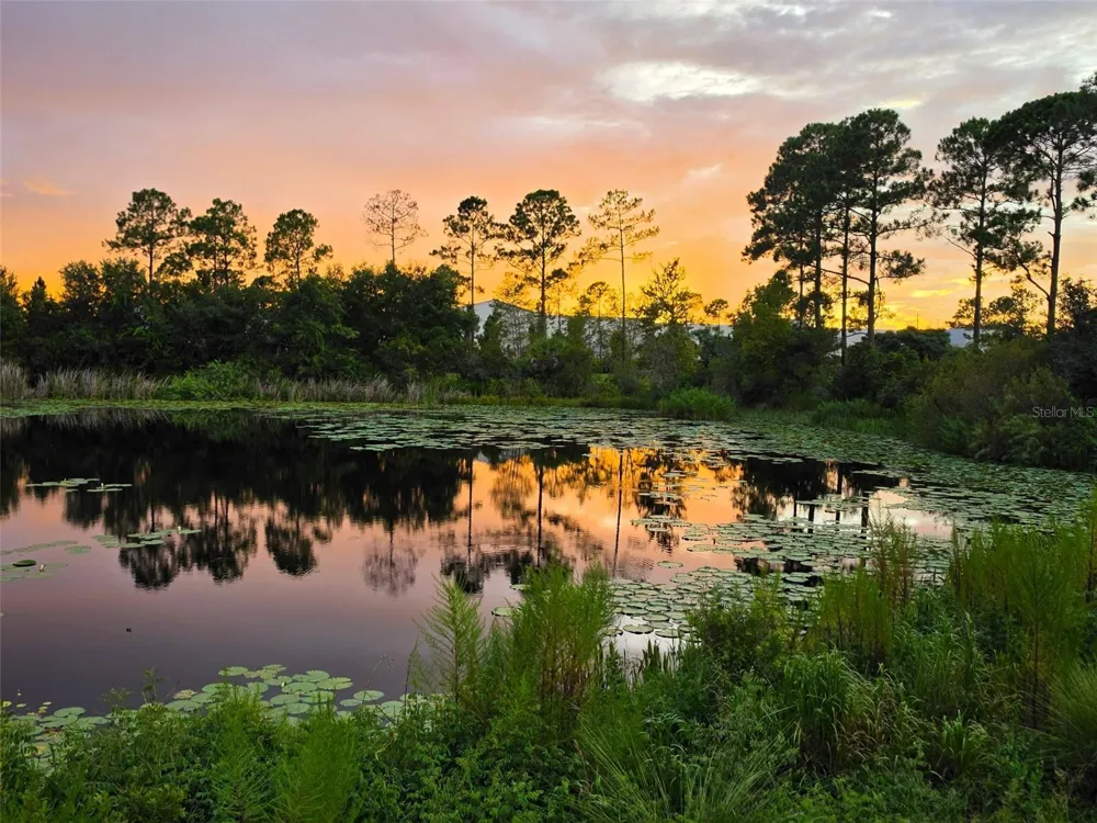 17319 MILLION LAKES COURT Clermont, FL 34714