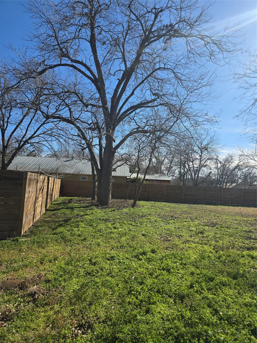 305 Lexington Road Elgin, TX 78621