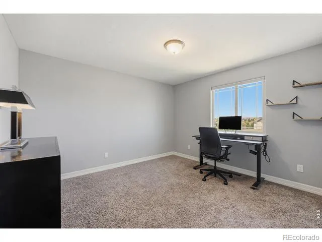 4147 Carroway Seed Drive Johnstown, CO 80534