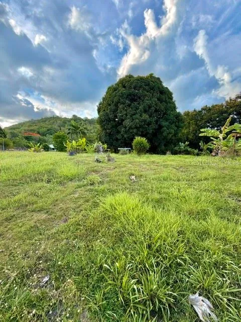 Address Not Shown Patillas, PR 00723