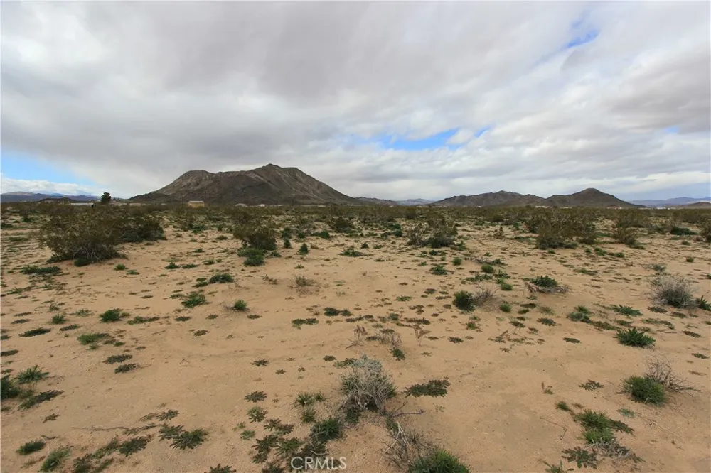 Mallow Landers, CA 92285