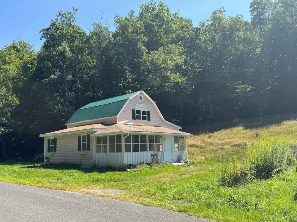 31 Willowemoc Road Livingston Manor, NY 12758