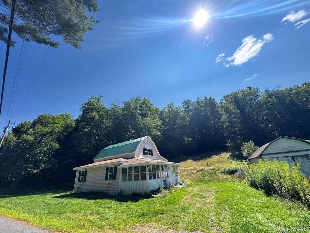 31 Willowemoc Road Livingston Manor, NY 12758
