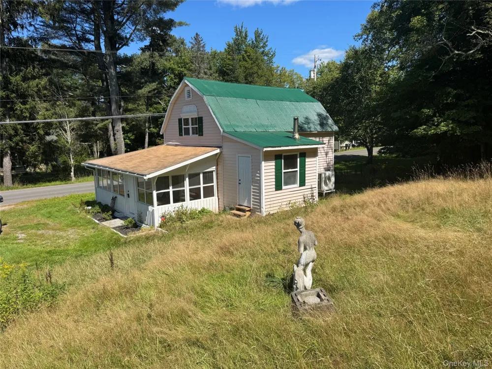 31 Willowemoc Road Livingston Manor, NY 12758