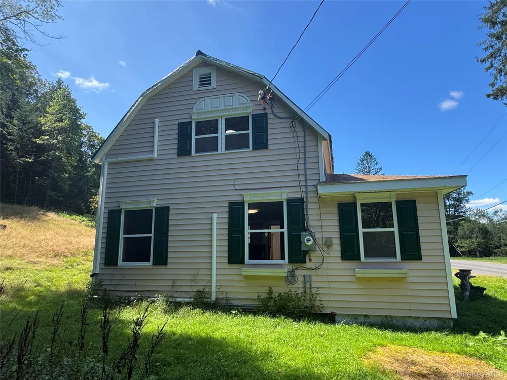 31 Willowemoc Road Livingston Manor, NY 12758