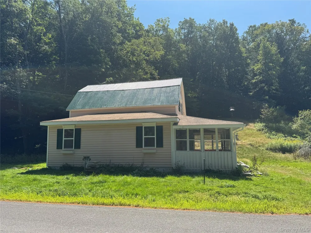 31 Willowemoc Road Livingston Manor, NY 12758