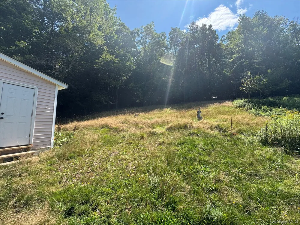 31 Willowemoc Road Livingston Manor, NY 12758