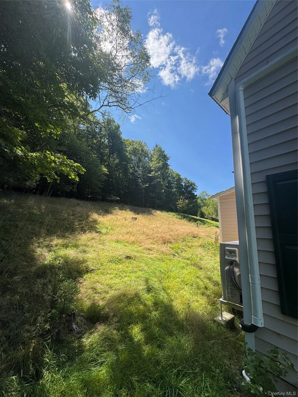 31 Willowemoc Road Livingston Manor, NY 12758