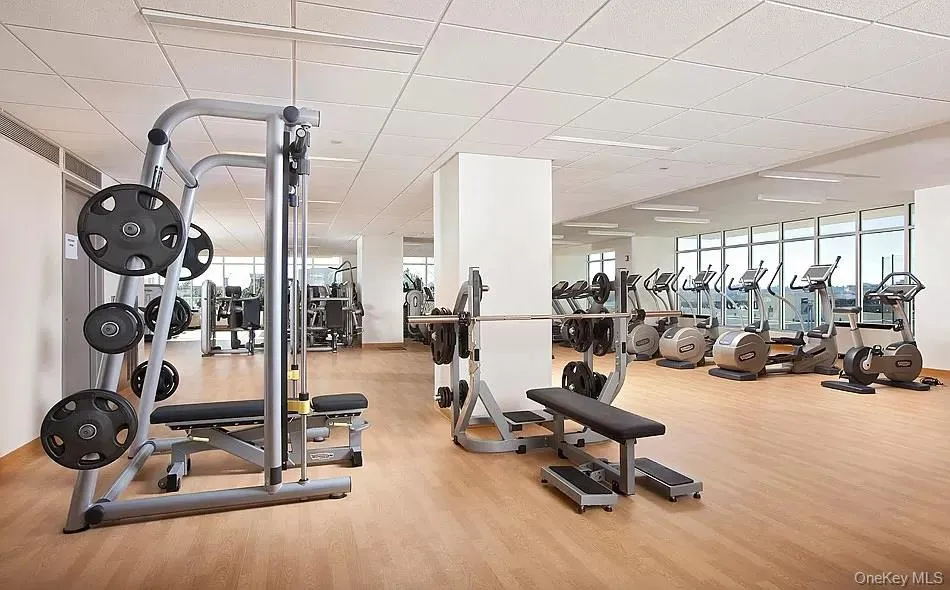 40-28 College Point Boulevard #907 Flushing, NY 11354