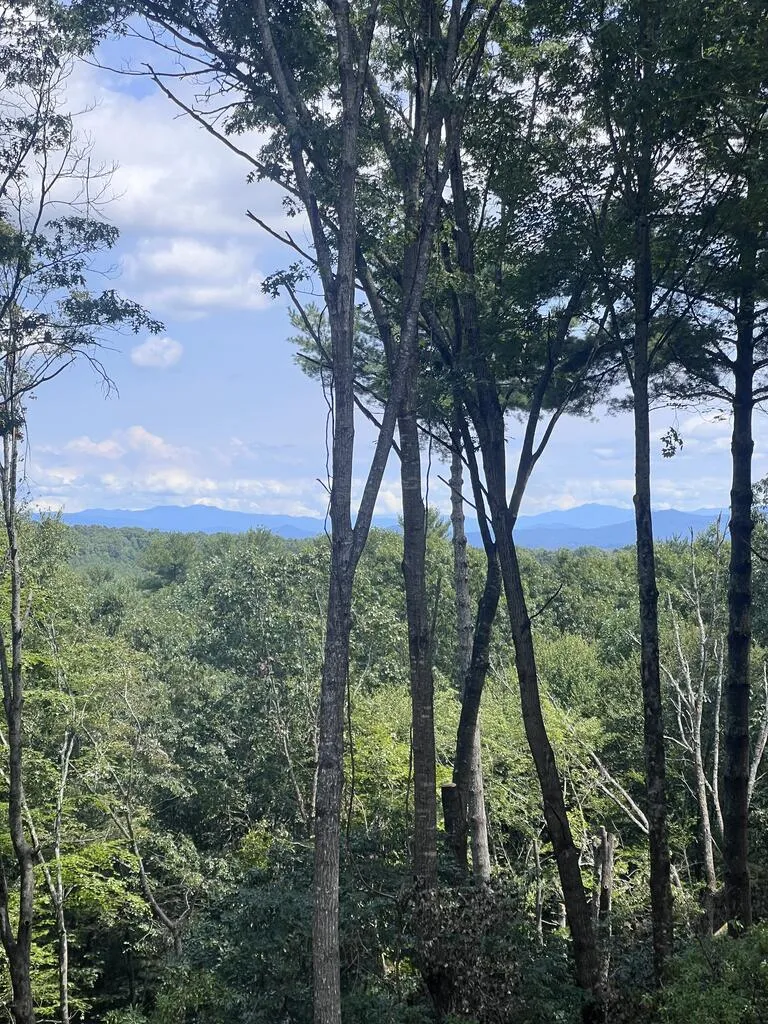 Lot 7 Austin Mountain Road Mineral Bluff, GA 30559
