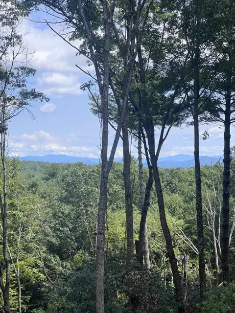 Lot 7 Austin Mountain Road