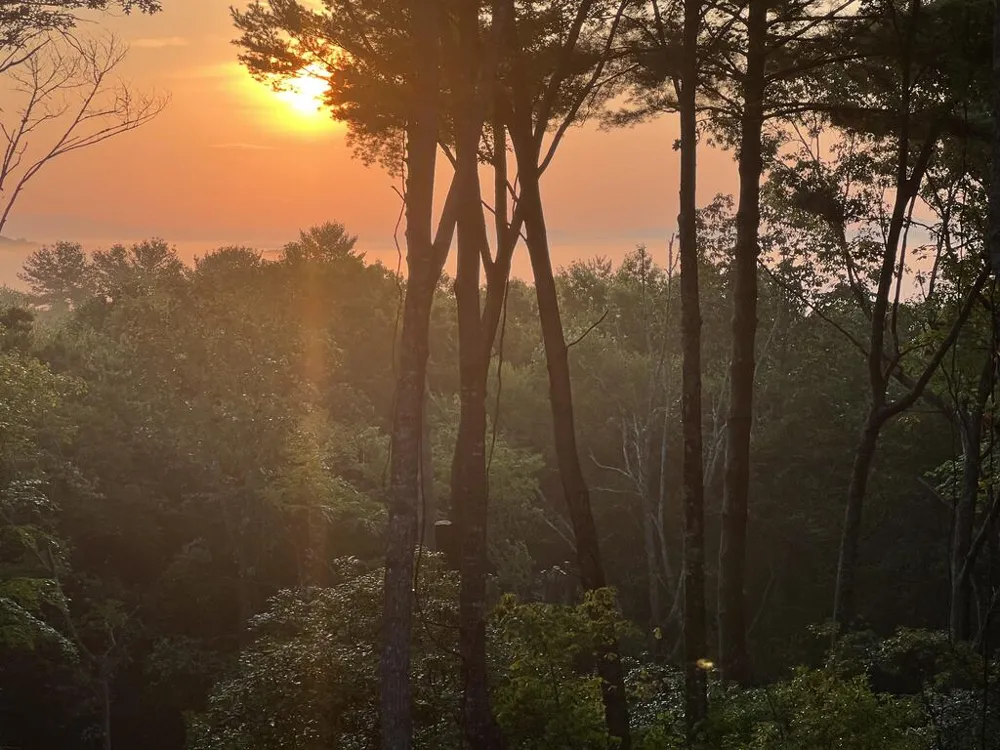 Lot 7 Austin Mountain Road Mineral Bluff, GA 30559