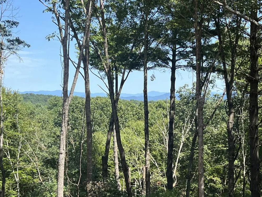 Lot 7 Austin Mountain Road Mineral Bluff, GA 30559