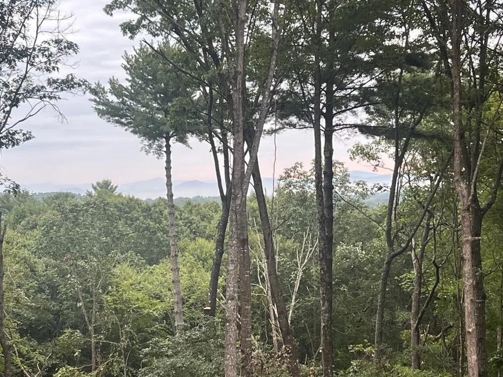 Lot 7 Austin Mountain Road Mineral Bluff, GA 30559