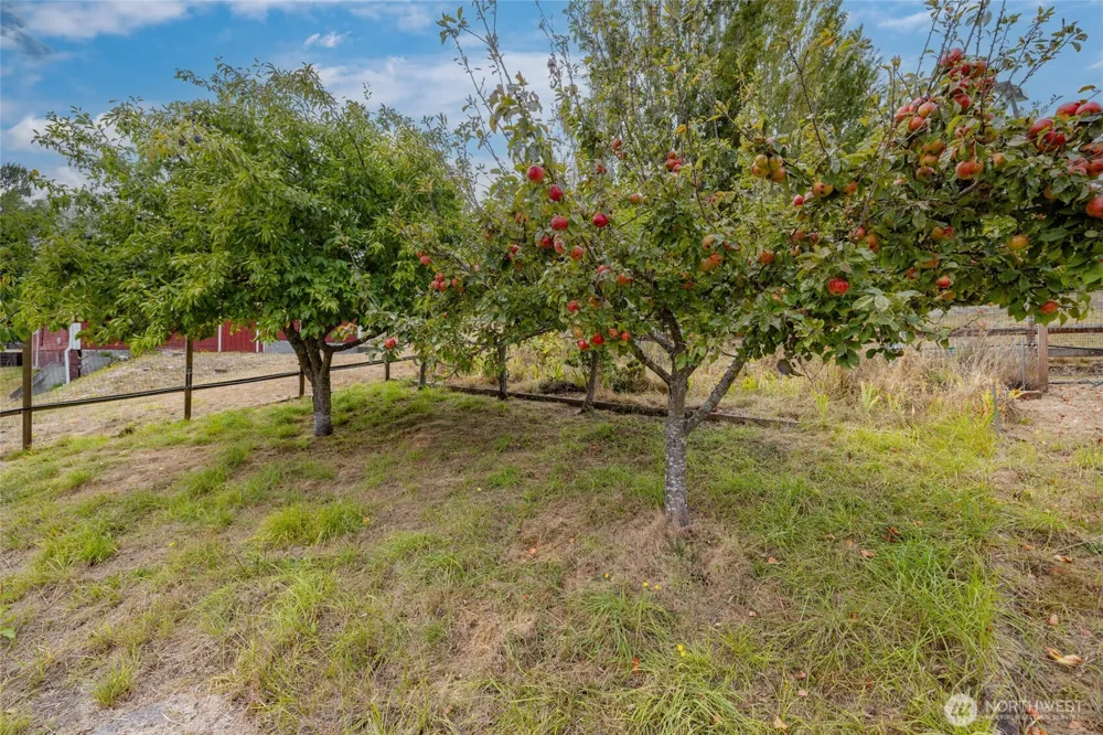 5375 Shore Meadow Road Freeland, WA 98249