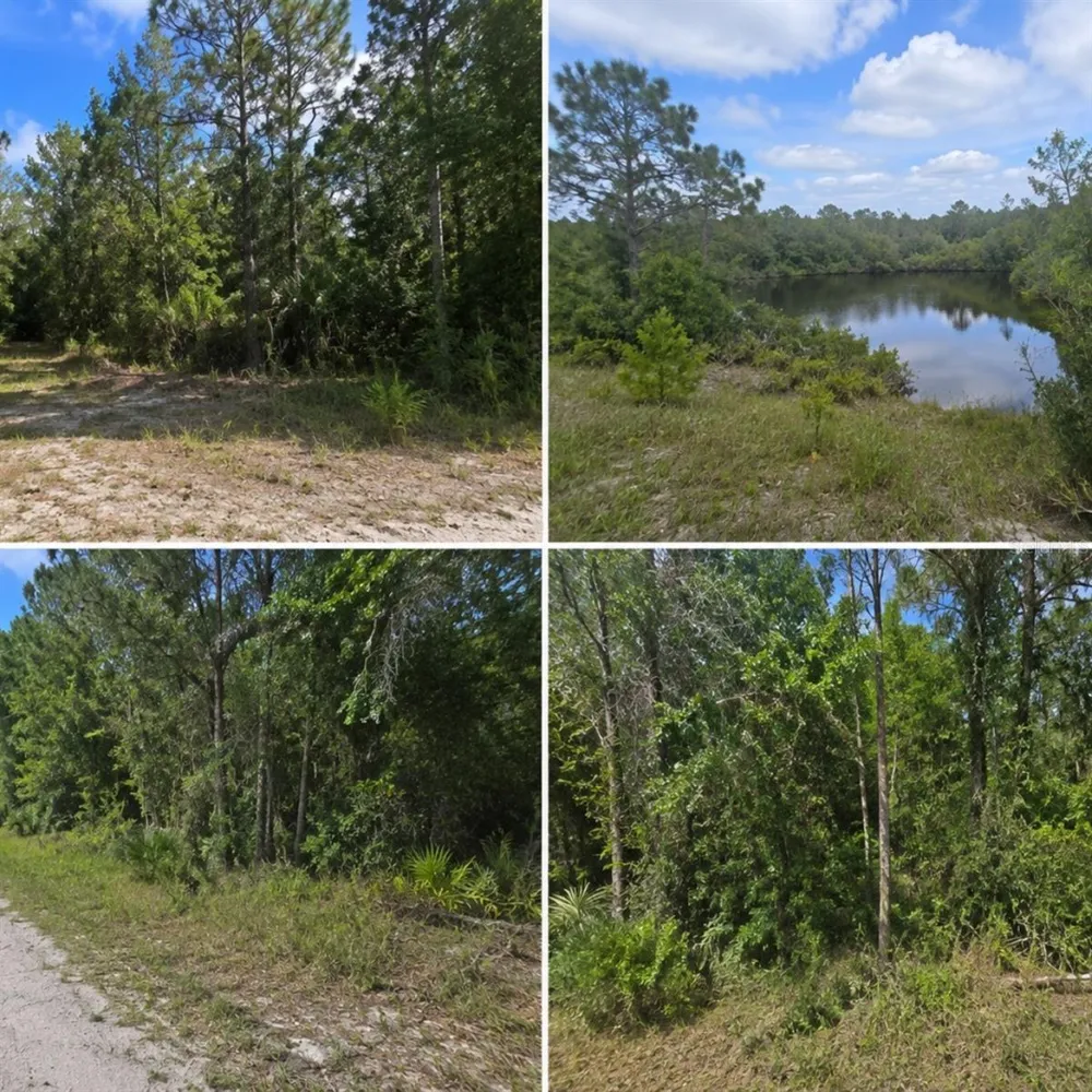 LESLIE DRIVE Deland, FL 32720