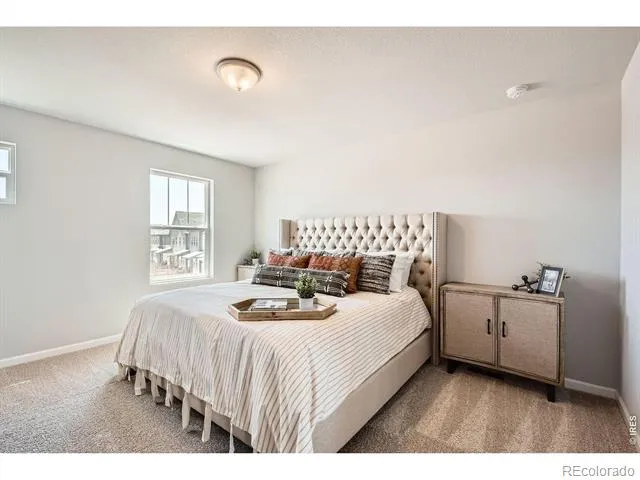 2448 Heyworth Lane Fort Collins, CO 80524