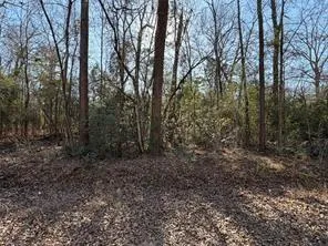 Lazy Oak Drive Livingston, TX 77351