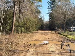 Lazy Oak Drive Livingston, TX 77351