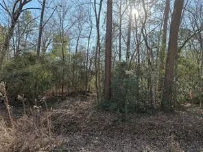 Lazy Oak Drive Livingston, TX 77351