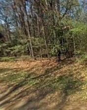 Lazy Oak Drive Livingston, TX 77351