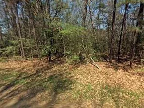 Lazy Oak Drive Livingston, TX 77351