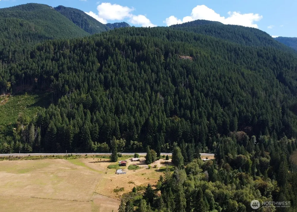 11737 US Hwy 12 Randle, WA 98377