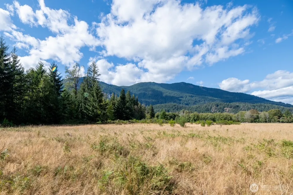 11737 US Hwy 12 Randle, WA 98377