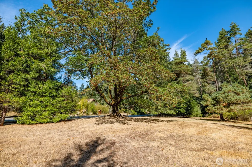 5443 Coles Road Langley, WA 98260