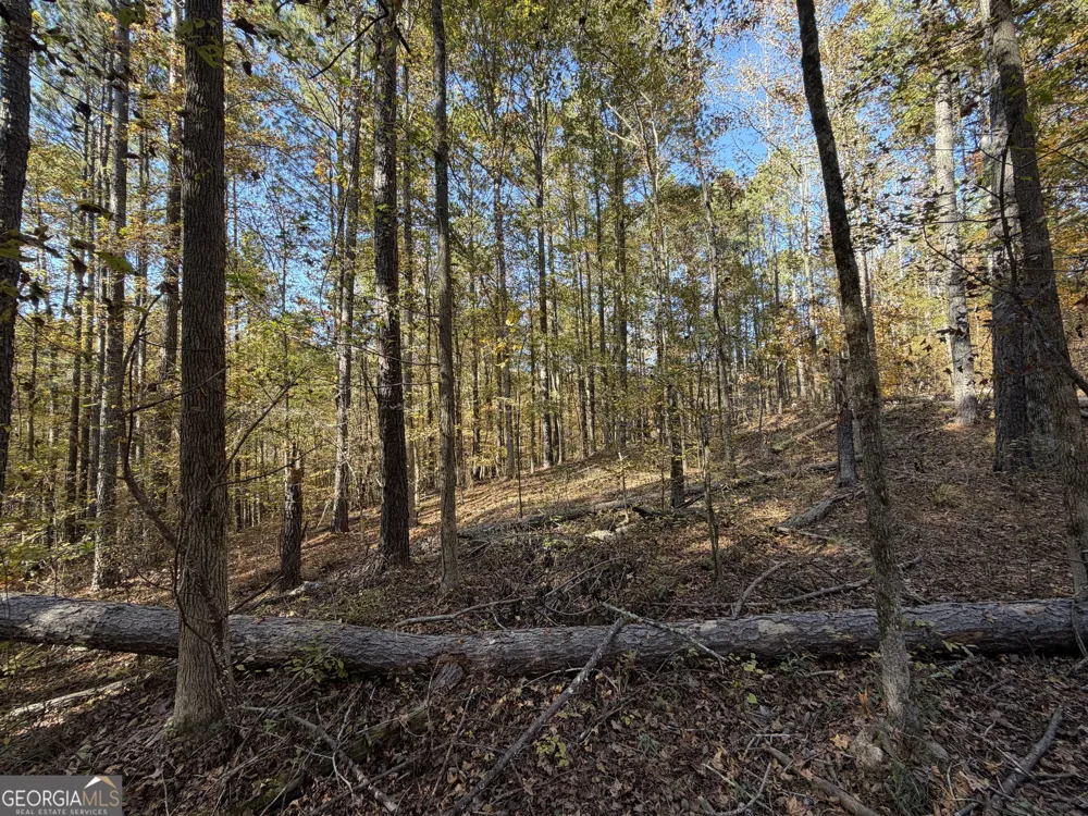 TRACT 1 1503 McDonald RD Covington, GA 30014