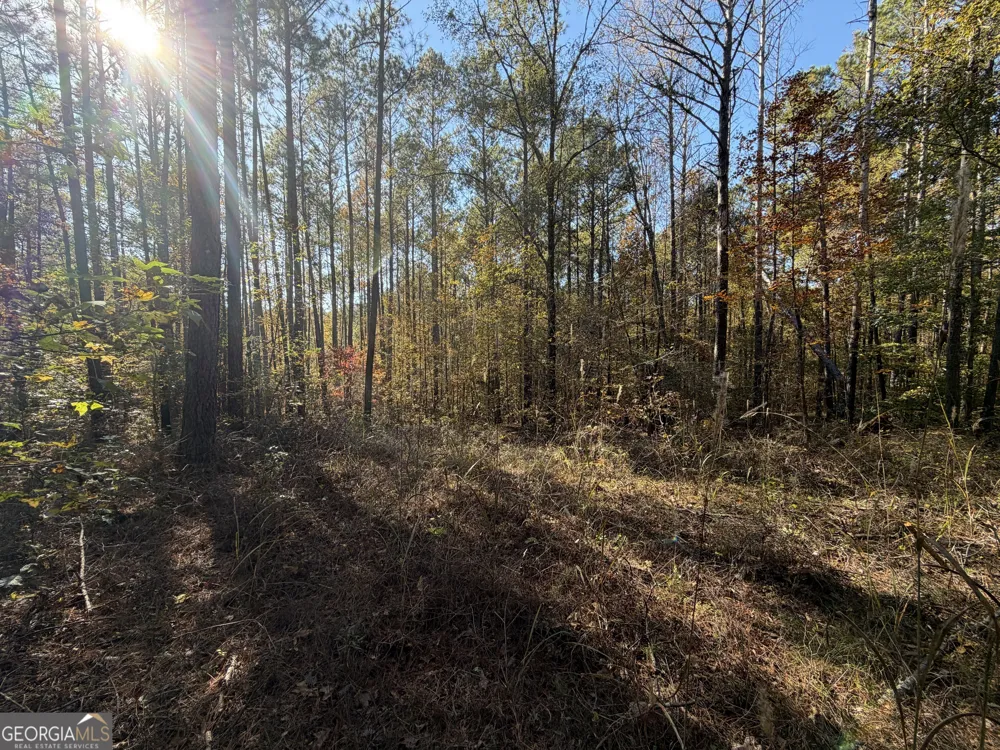 TRACT 1 1503 McDonald RD Covington, GA 30014