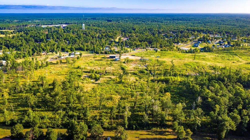 400 Yaupon Cove Drive Onalaska, TX 77360