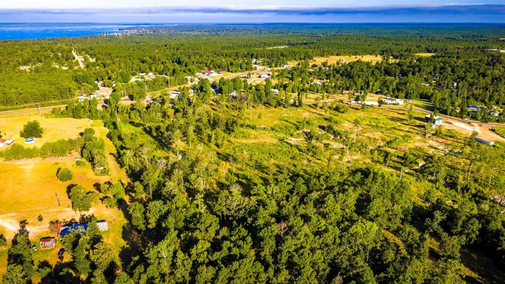 400 Yaupon Cove Drive Onalaska, TX 77360