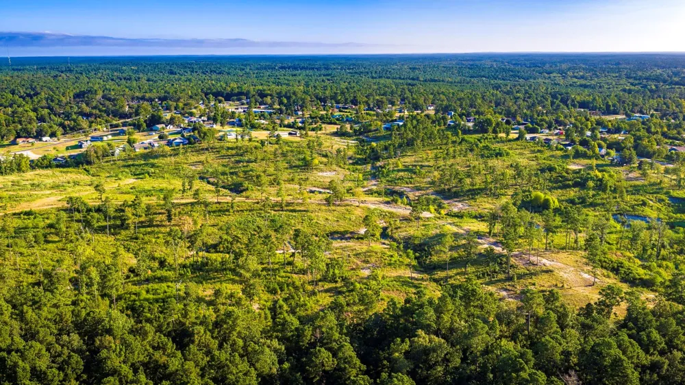 400 Yaupon Cove Drive Onalaska, TX 77360