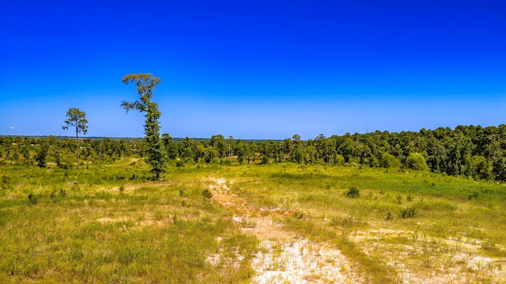 400 Yaupon Cove Drive Onalaska, TX 77360