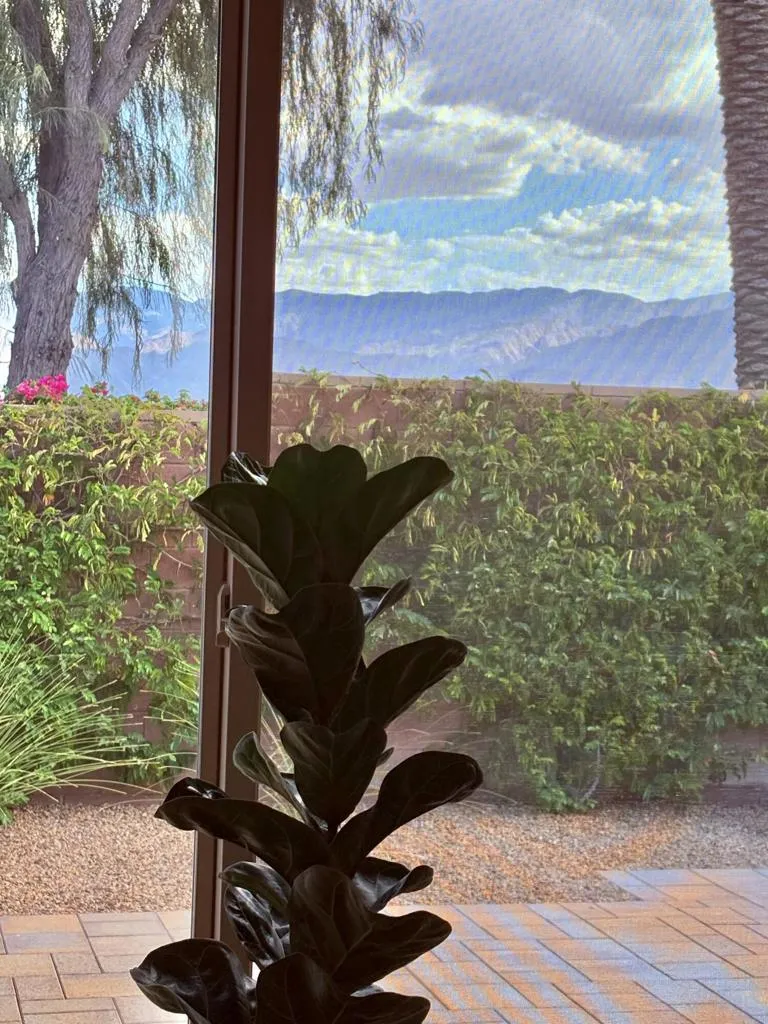 82445 W Murray Canyon Drive Indio, CA 92201