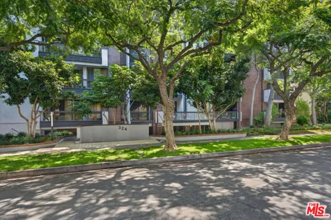 324 Palm Drive #404