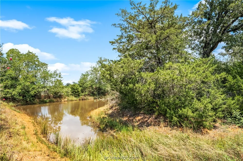 25948 Nelson Road Hempstead, TX 77445