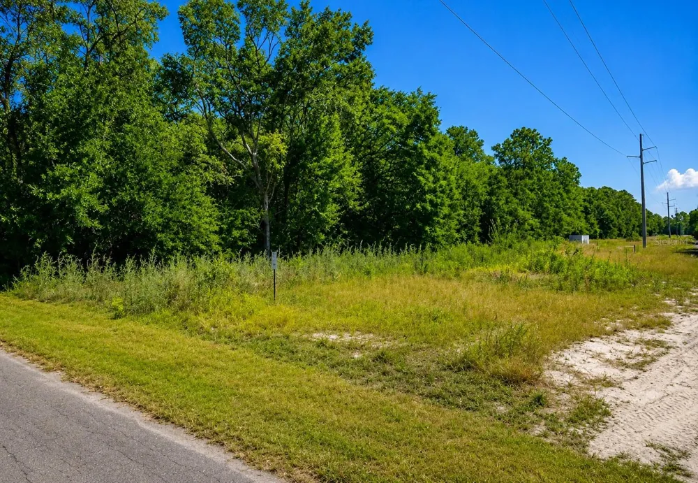 FISHER LN CT Ocklawaha, FL 32179
