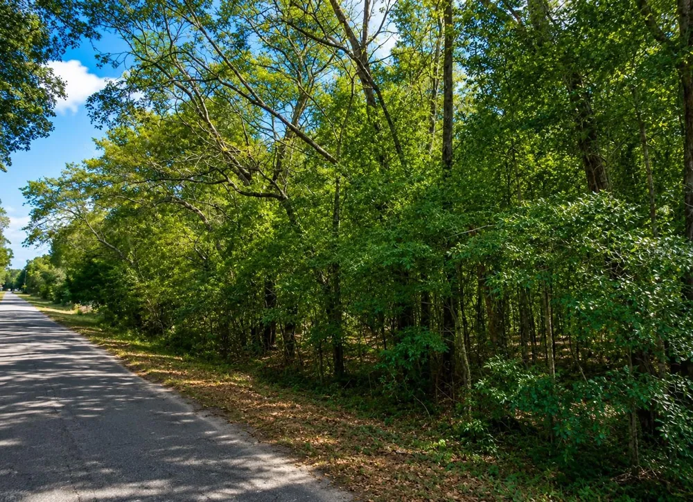 FISHER LN CT Ocklawaha, FL 32179