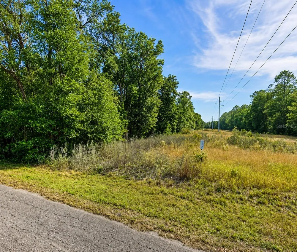 FISHER LN CT Ocklawaha, FL 32179