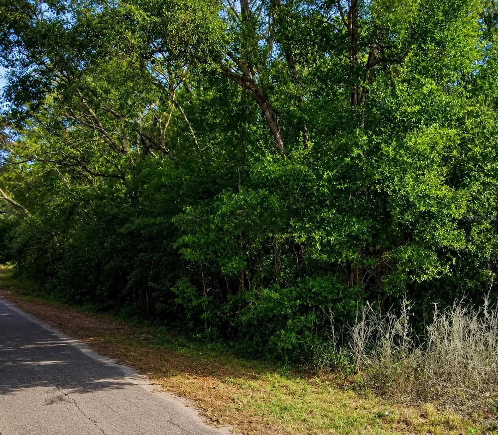FISHER LN CT Ocklawaha, FL 32179