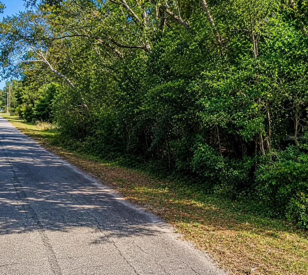 FISHER LN CT Ocklawaha, FL 32179