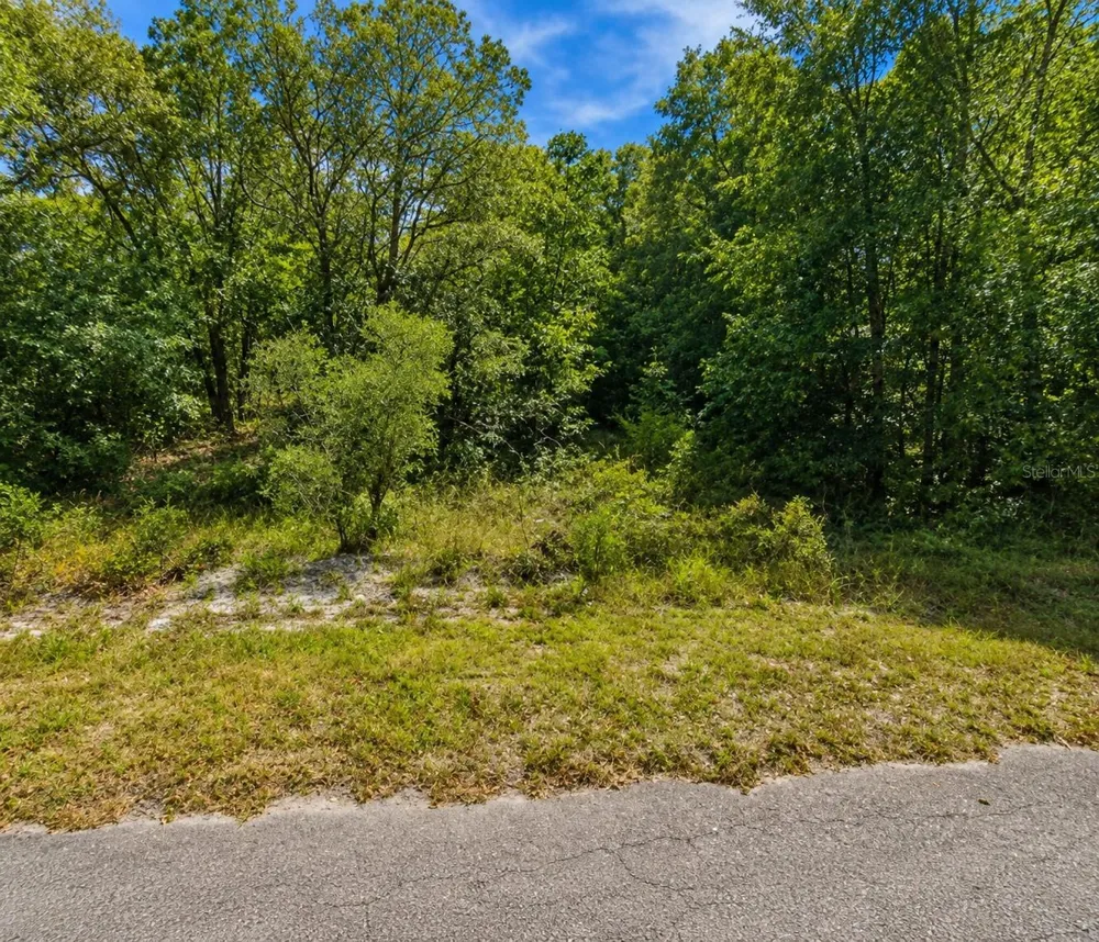 FISHER LN CT Ocklawaha, FL 32179