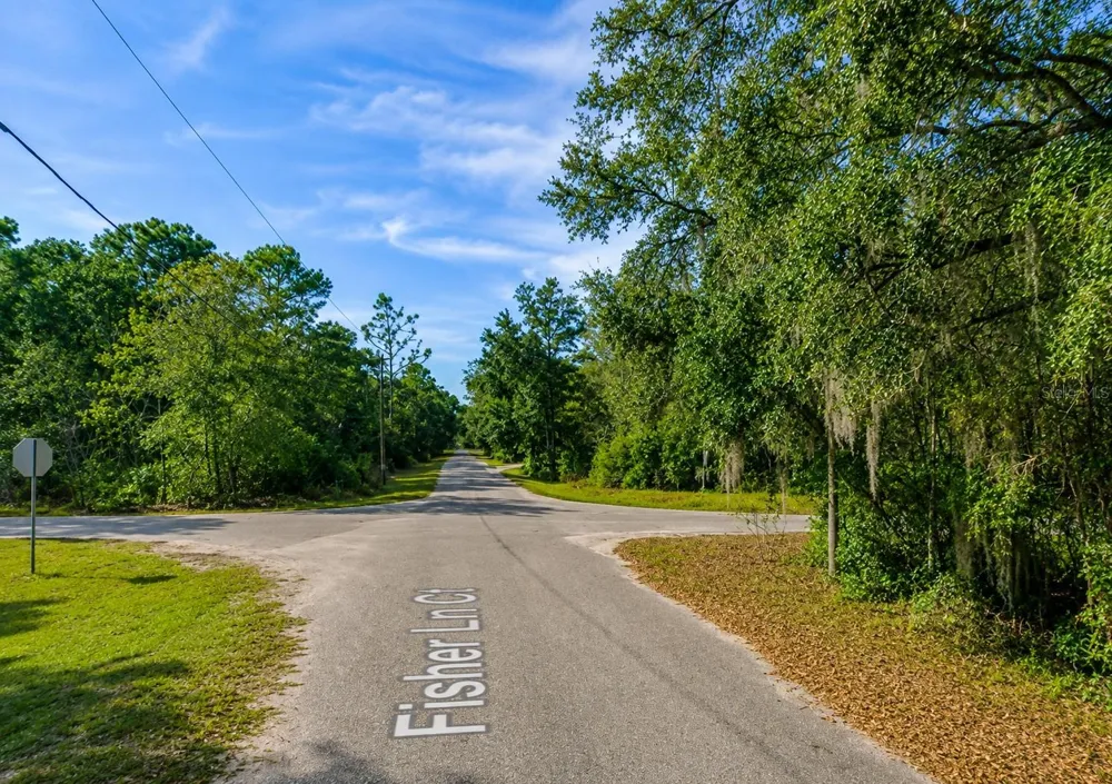 FISHER LN CT Ocklawaha, FL 32179