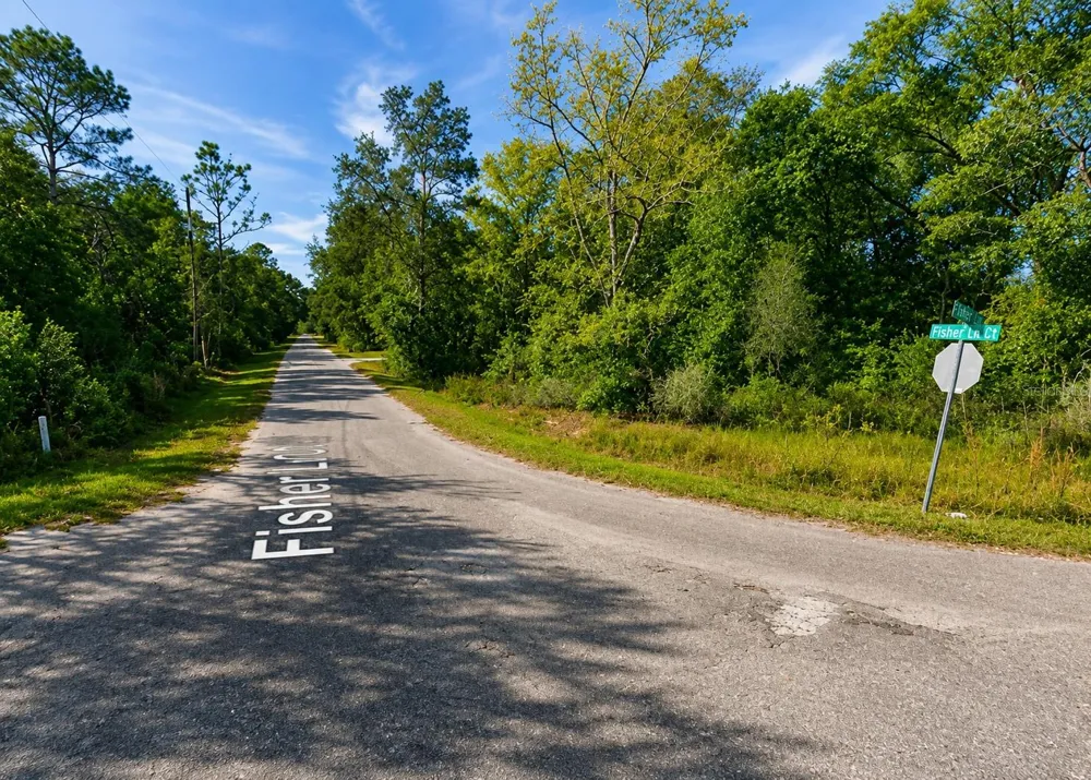 FISHER LN CT Ocklawaha, FL 32179