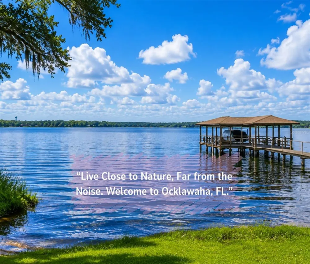 FISHER LN CT Ocklawaha, FL 32179